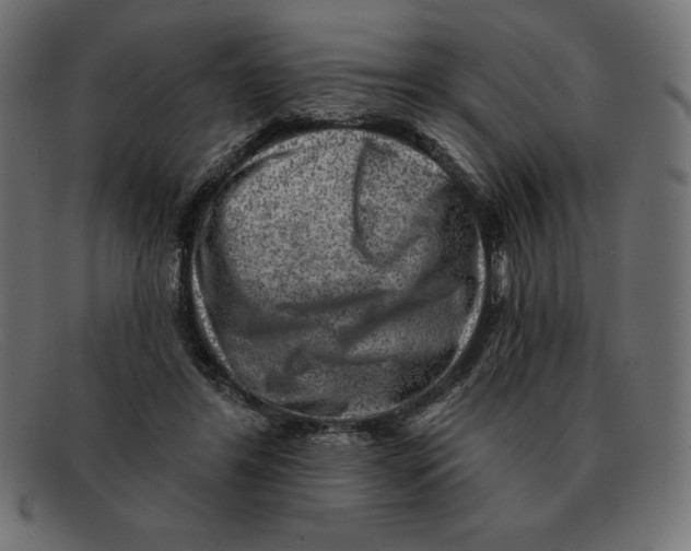 X0000092040404200710101001