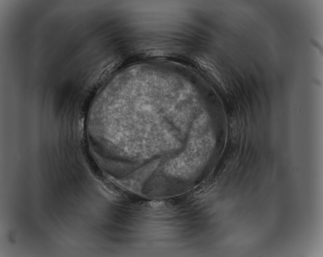 X0000092040406200710101001