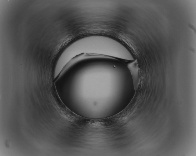 X0000092040407200710101001