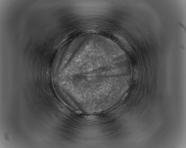 X0000092040409200710101001