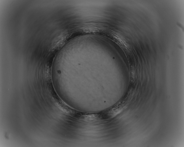 X0000092040411200710101001