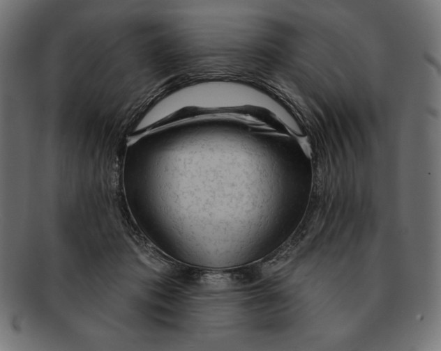 X0000092040413200710101001