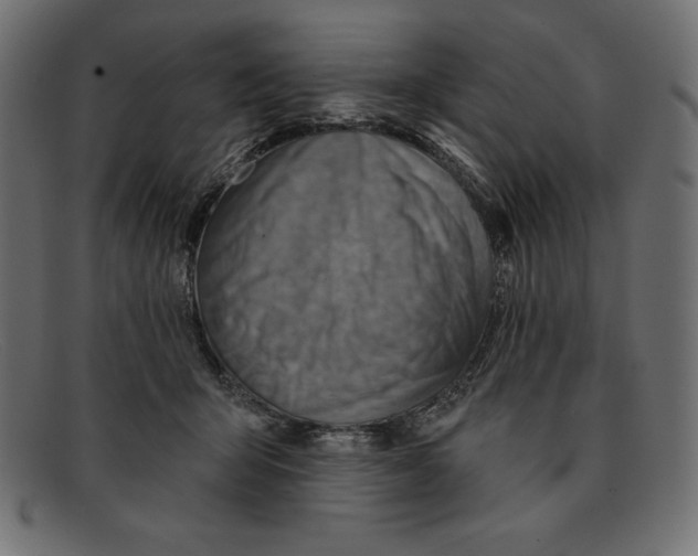 X0000092040415200710101001