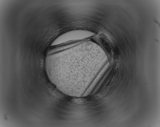 X0000092040417200710101001