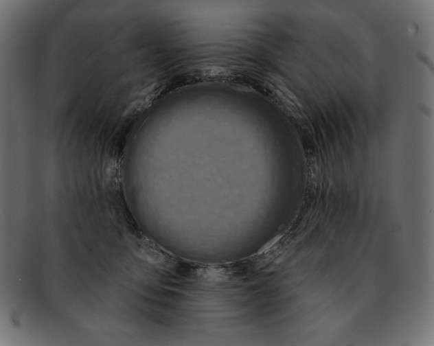 X0000092040419200710101001