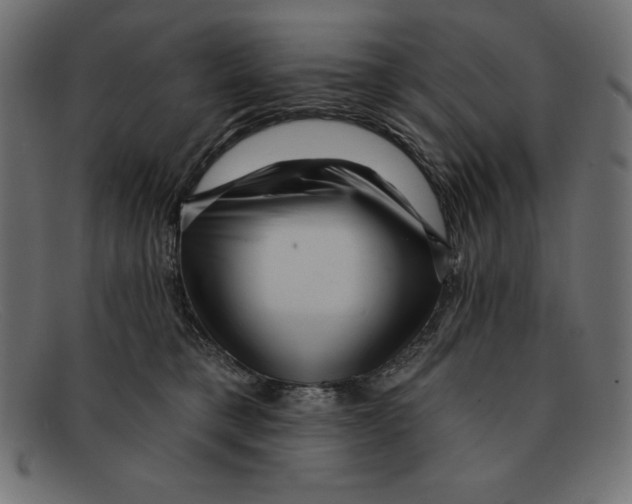 X0000092040421200710101001