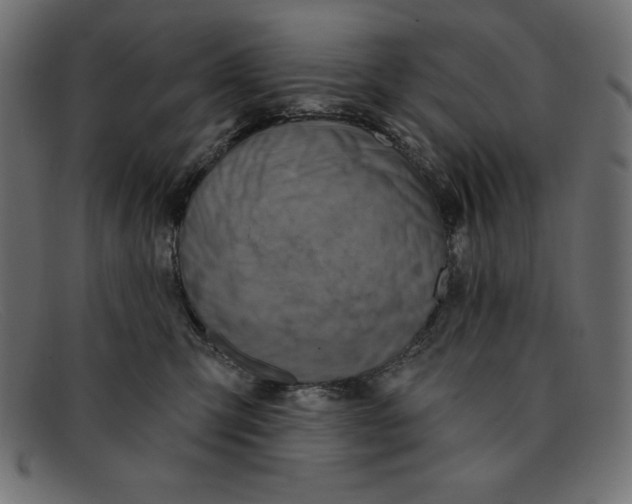 X0000092040423200710101001