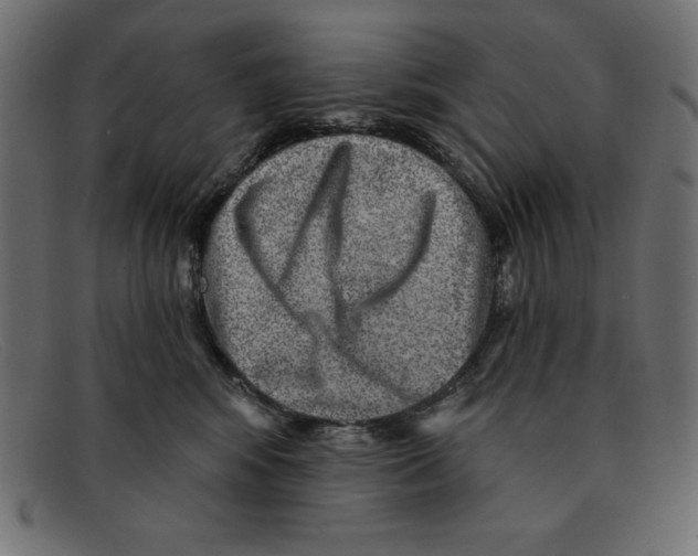 X0000092040424200710101001