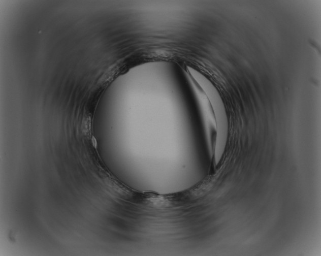 X0000092040425200710101001