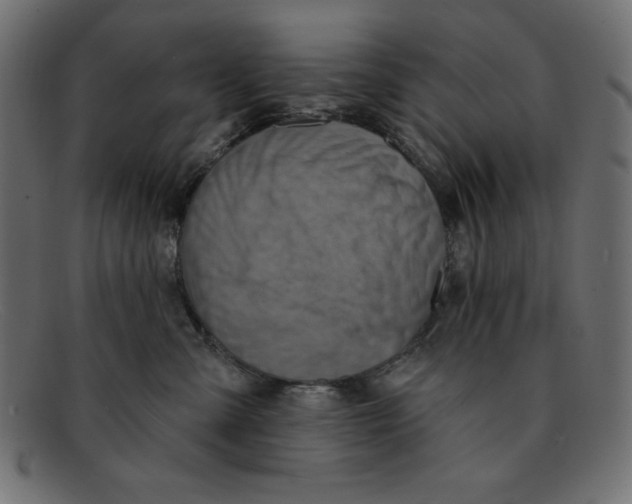 X0000092040427200710101001