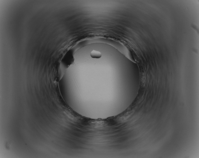 X0000092040428200710101001