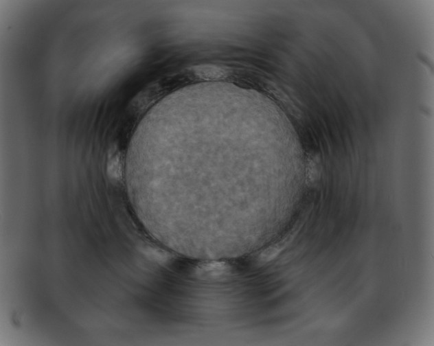 X0000092040431200710101001