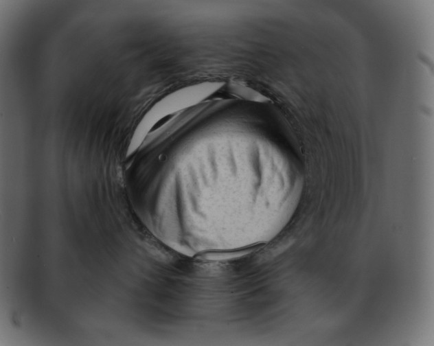 X0000092040432200710101001