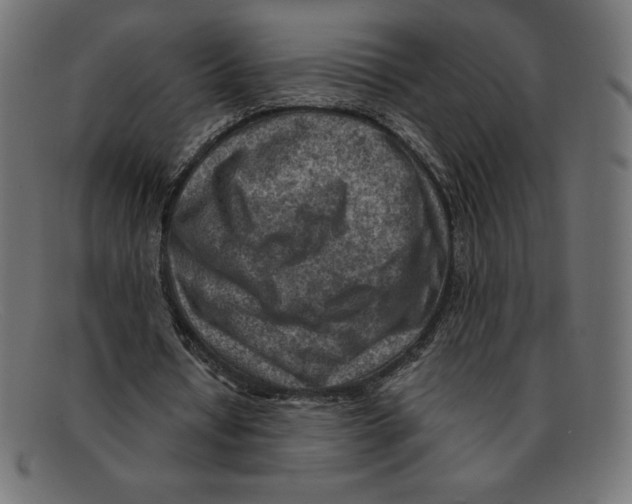 X0000092040434200710101000