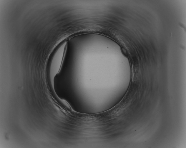 X0000092040435200710101000