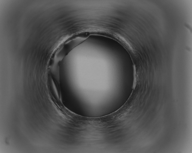 X0000092040436200710101000