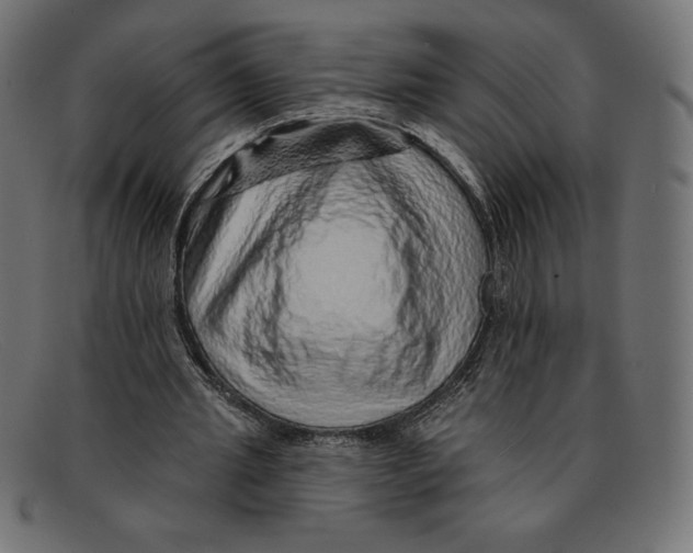 X0000092040437200710101000