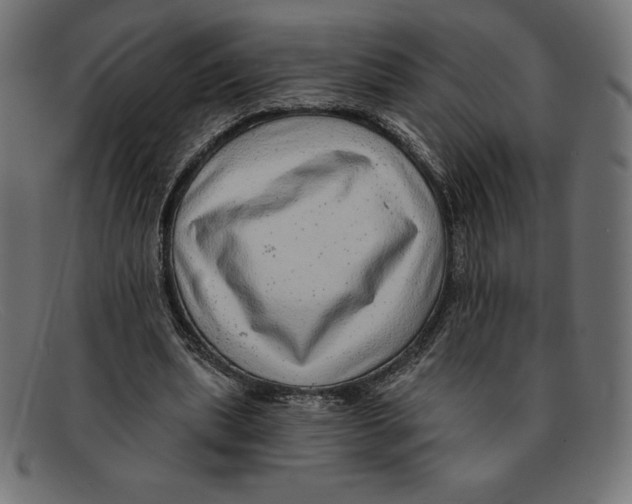 X0000092040439200710101000