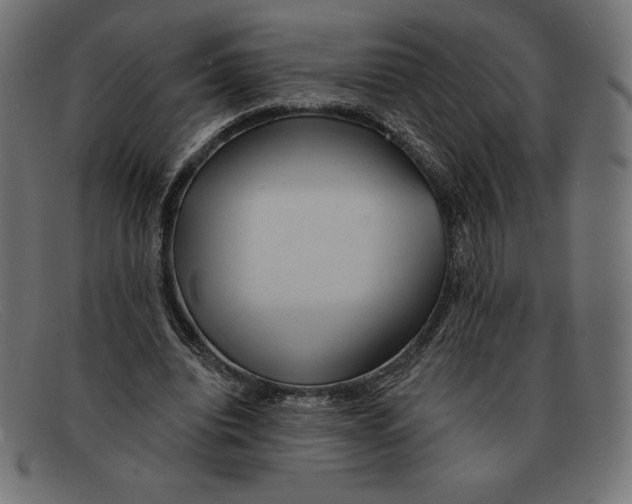 X0000092040440200710101000