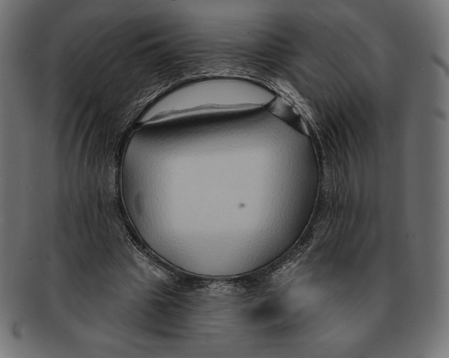 X0000092040441200710101000