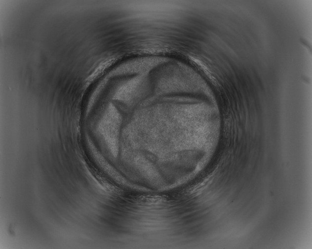 X0000092040443200710101000