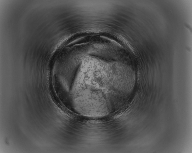 X0000092040444200710101000