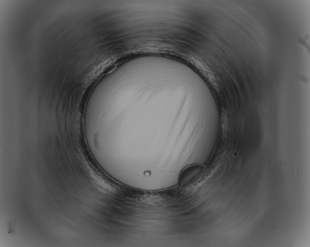 X0000092040445200710101000