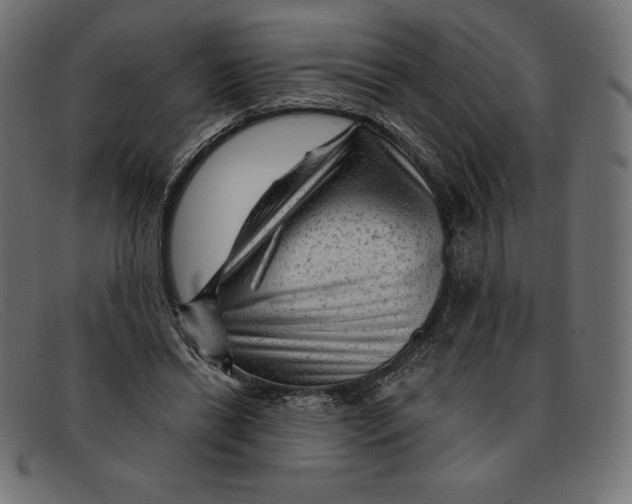 X0000092040446200710101000