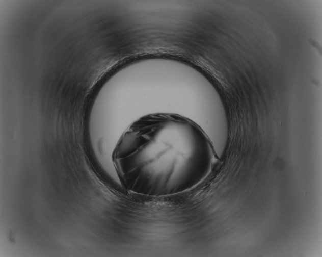 X0000092040448200710101000