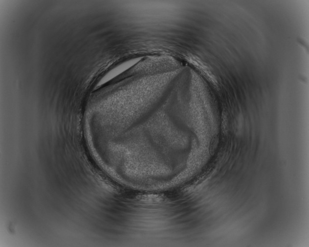 X0000092040449200710101000