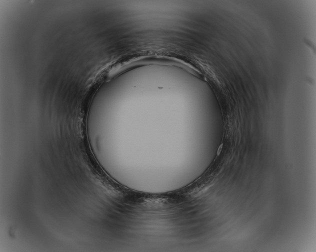 X0000092040450200710101000