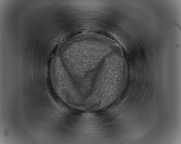 X0000092040451200710101000