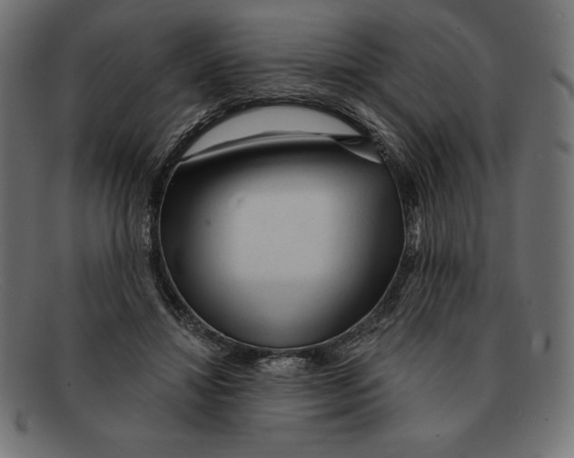 X0000092040452200710101000