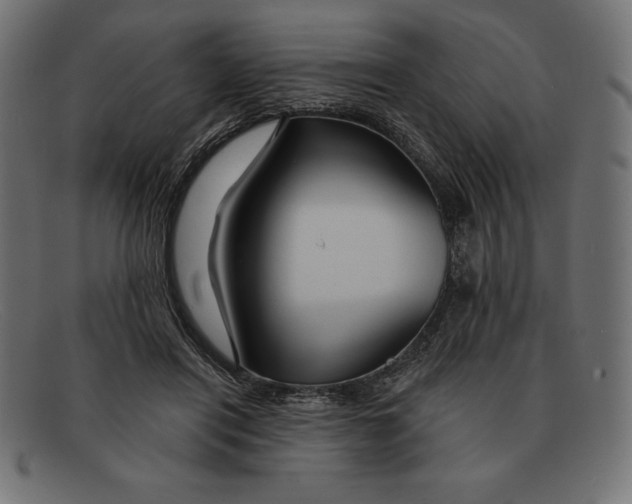 X0000092040454200710101000