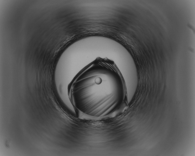 X0000092040456200710101000