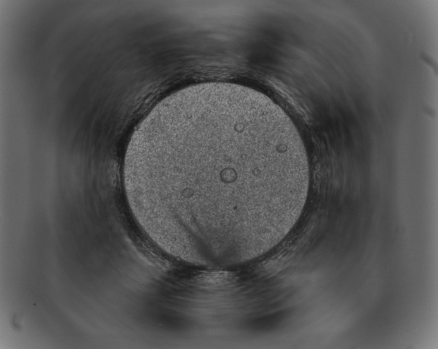 X0000092040459200710101000