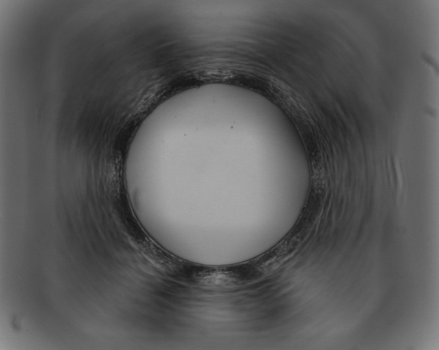 X0000092040460200710101000