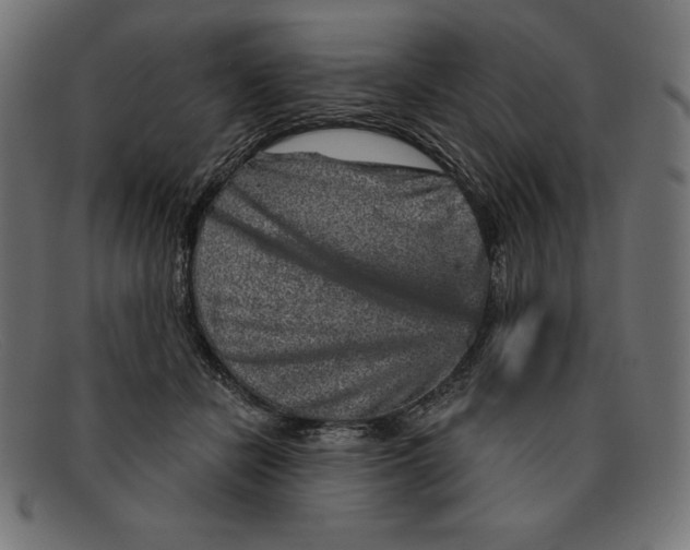 X0000092040462200710101000