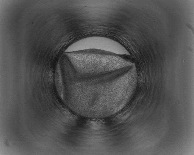 X0000092040466200710101000