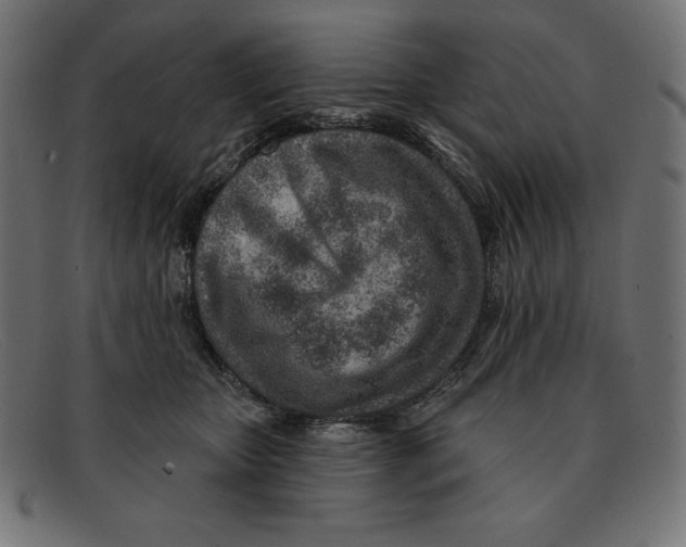 X0000092040467200710101001