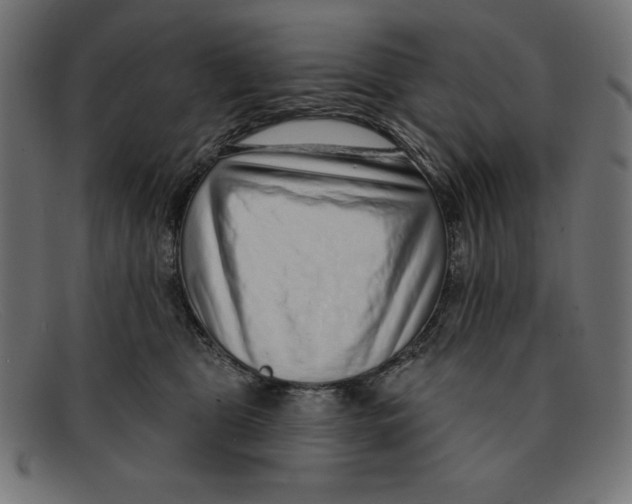 X0000092040469200710101001