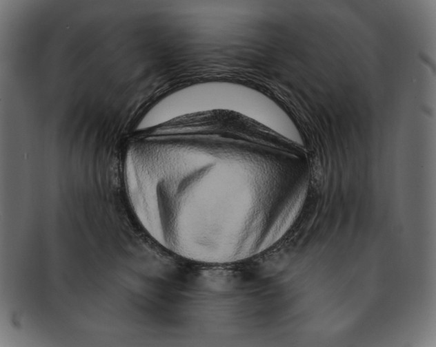 X0000092040470200710101001