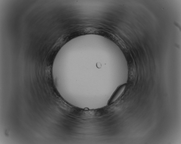 X0000092040473200710101001