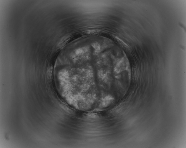 X0000092040475200710101001