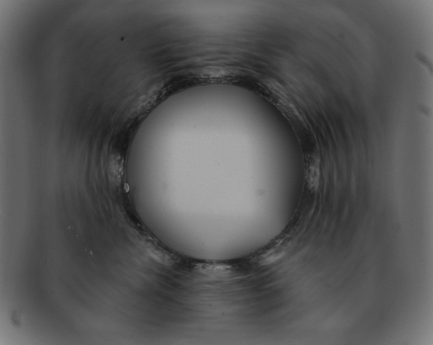 X0000092040476200710101001