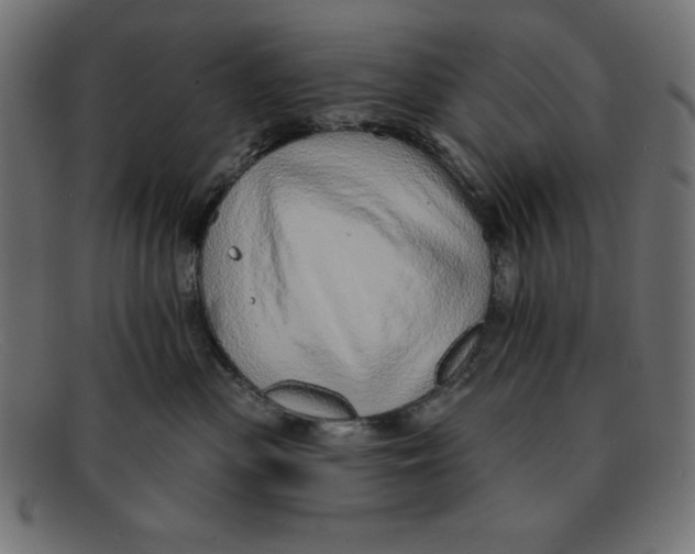 X0000092040477200710101001