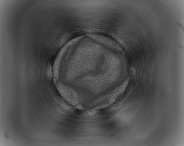 X0000092040479200710101001