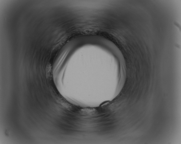 X0000092040480200710101001