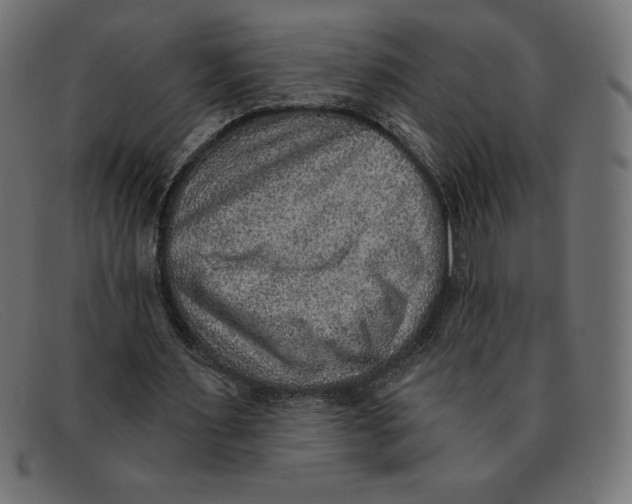 X0000092040483200710101000