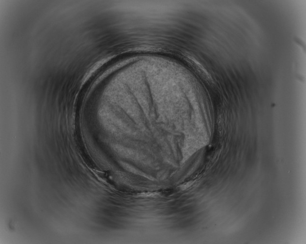 X0000092040484200710101000